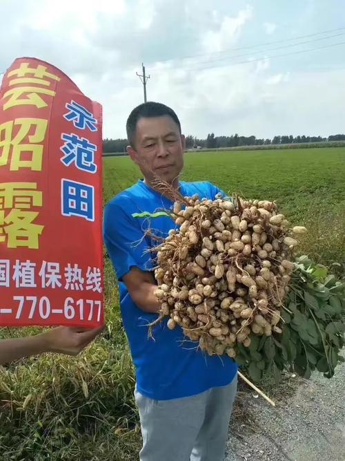芸昭露,给你实实在在的效果!