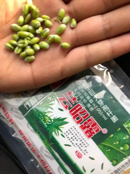 芸昭露,给你实实在在的效果!